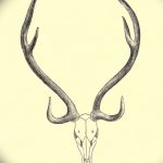 эскиз тату олень 23.02.2019 №146 - sketch tattoo deer - tatufoto.com