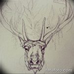 эскиз тату олень 23.02.2019 №151 - sketch tattoo deer - tatufoto.com