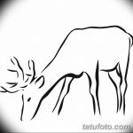эскиз тату олень 23.02.2019 №153 - sketch tattoo deer - tatufoto.com