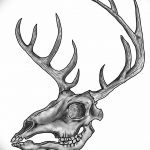 эскиз тату олень 23.02.2019 №155 - sketch tattoo deer - tatufoto.com