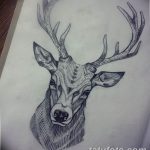 эскиз тату олень 23.02.2019 №159 - sketch tattoo deer - tatufoto.com
