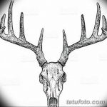 эскиз тату олень 23.02.2019 №162 - sketch tattoo deer - tatufoto.com