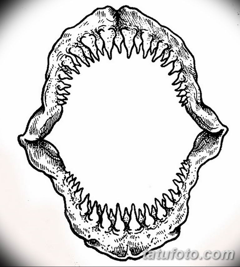 Тату эскиз акулья челюсть