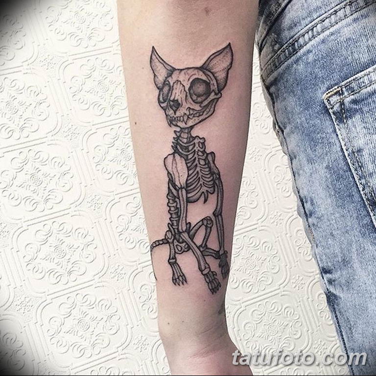 фото тату скелет кота 25.03.2019 № 001 - cat skeleton tattoo - tatufoto.com...