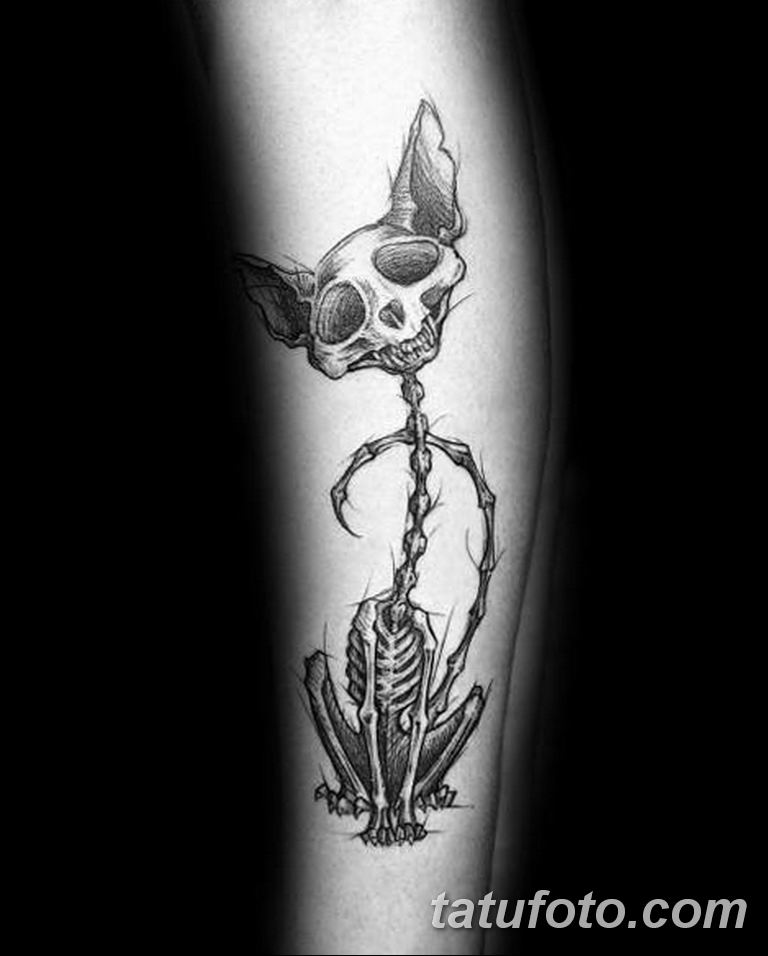 фото тату скелет кота 25.03.2019 № 005 - cat skeleton tattoo - tatufoto.com...