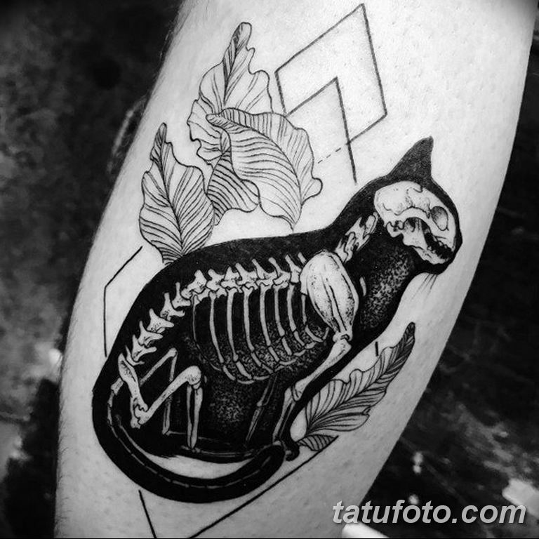 фото тату скелет кота 25.03.2019 № 009 - cat skeleton tattoo - tatufoto.com...