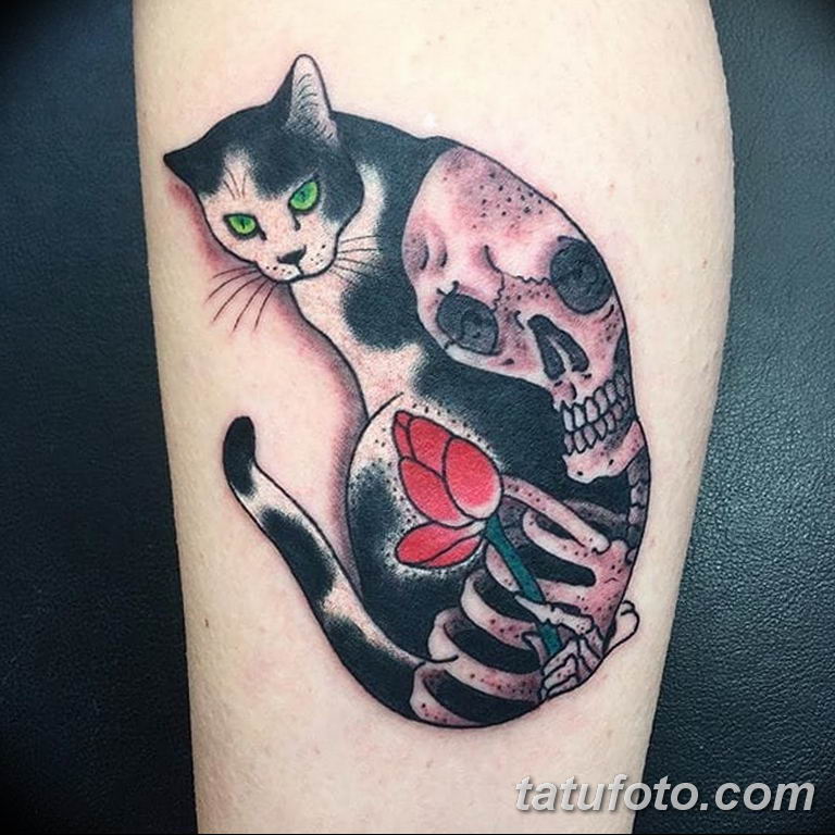 фото тату скелет кота 25.03.2019 № 029 - cat skeleton tattoo - tatufoto.com...