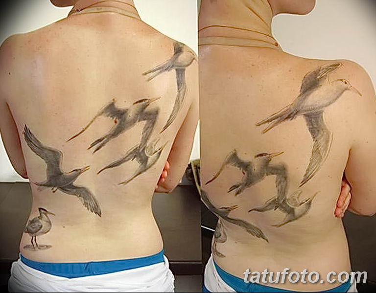 Татуировка Чайки на спине