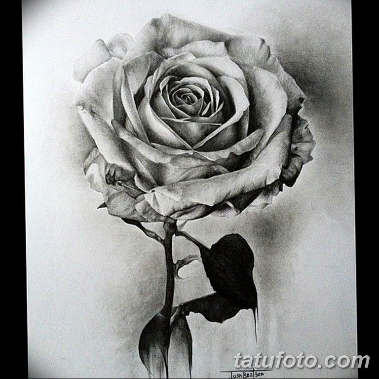 черно белый эскиз тату с черной роedw 11.03.2019 № 075 - tattoo sketch - ta...