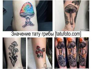 Коллаж из нескольких фотографий татуировок с изображением грибов в разных стилях и цветовых решениях. Разнообразие дизайнов для вдохновения.