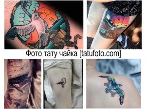 Фото тату чайки на груди в ярких цветах с изображением креста и солнца. Оригинальный рисунок татуировки для мужчин и женщин.