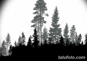 Фото тату: эскиз татуировки, изображающий силуэт леса из разных по высоте деревьев, выполненный в серых тонах.