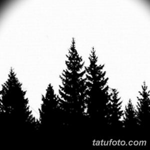 Черно-белый эскиз татуировки с изображением силуэтов высоких елей на фоне светлого неба, выполненный в минималистичном стиле.