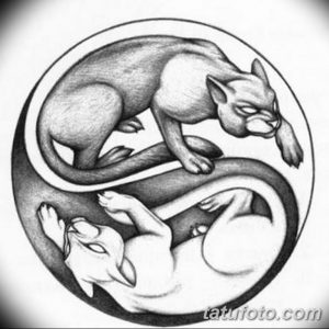 пантера эскиз тату для девушек 08.03.2019 №013 - tattoo sketches - tatufoto.com