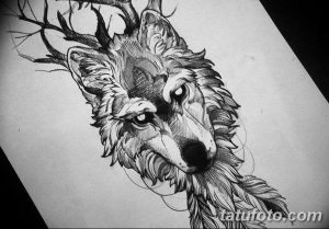 тату волка эскизы для девушек 08.03.2019 №031 - tattoo sketches - tatufoto.com
