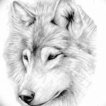тату волка эскизы мужские 09.03.2019 №023 - tattoo sketches - tatufoto.com