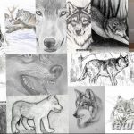 тату волка эскизы мужские 09.03.2019 №031 - tattoo sketches - tatufoto.com