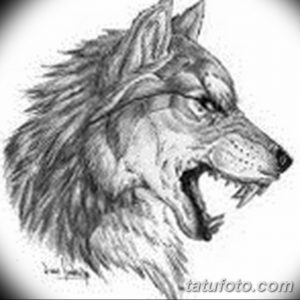 Черно-белый эскиз татуировки волка в профиль, с детально проработанной шерстью и выразительным взглядом. Идеально для любителей реалистичных рисунков тату.