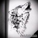 тату волка эскизы мужские 09.03.2019 №046 - tattoo sketches - tatufoto.com