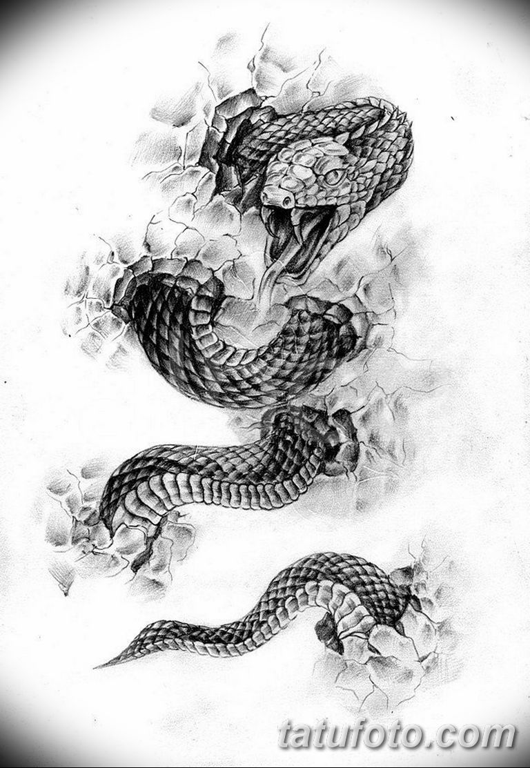 картинки тату змеи