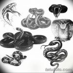 тату змея эскизы мужские 09.03.2019 №006 - tattoo sketches - tatufoto.com