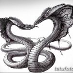 Черно-белый эскиз татуировки с двумя переплетающимися змеями. Детализированный рисунок, демонстрирующий силу и грацию этих рептилий.