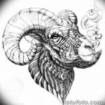 тату овен для девушек эскизы 08.03.2019 №002 - tattoo sketches - tatufoto.com