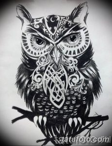 тату сова эскиз для девушек 08.03.2019 №002 - tattoo sketches - tatufoto.com