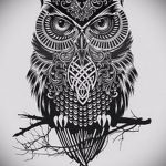 тату сова эскиз для девушек 08.03.2019 №008 - tattoo sketches - tatufoto.com