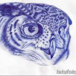 тату сова эскиз для девушек 08.03.2019 №041 - tattoo sketches - tatufoto.com