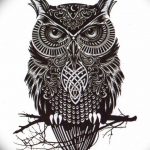 тату сова эскиз для девушек 08.03.2019 №048 - tattoo sketches - tatufoto.com