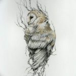 тату сова эскиз для девушек 08.03.2019 №056 - tattoo sketches - tatufoto.com