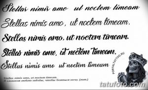 тату эскизы для девушек надписи 08.03.2019 №009 - tattoo sketches - tatufoto.com