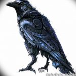 тату эскизы мужские ворон 09.03.2019 №009 - tattoo sketches - tatufoto.com