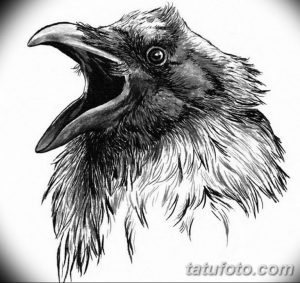 Черно-белый эскиз татуировки ворона с широко открытым клювом, словно кричащего. Рисунок выполнен в стиле реализм с высокой детализацией перьев.