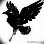 тату эскизы мужские ворон 09.03.2019 №024 - tattoo sketches - tatufoto.com