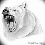 тату эскизы мужские животные 09.03.2019 №005 - tattoo sketches - tatufoto.com