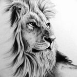 тату эскизы мужские лев 09.03.2019 №020 - tattoo sketches - tatufoto.com