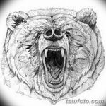 тату эскизы мужские медведь 09.03.2019 №035 - tattoo sketches - tatufoto.com