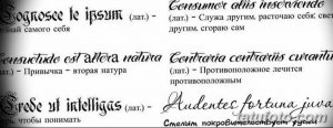 Черно-белый эскиз татуировки с несколькими латинскими цитатами и их переводами на русский язык. Каллиграфический стиль, декоративные элементы.