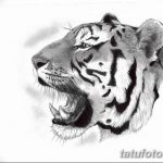 тату эскизы мужские черно белые 09.03.2019 №007 - tattoo sketches - tatufoto.com