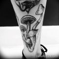 фото рисунка тату гриб 27.03.2019 №004 - tattoo mushroom - tatufoto.com