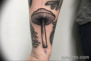 Фото тату с изображением гриба на руке. Черно-белый рисунок татуировки в стиле графика с детальной проработкой текстур.