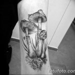 фото рисунка тату гриб 27.03.2019 №020 - tattoo mushroom - tatufoto.com