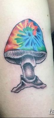 фото рисунка тату гриб 27.03.2019 №036 — tattoo mushroom — tatufoto.com