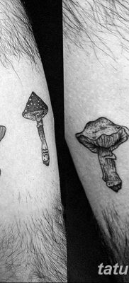 фото рисунка тату гриб 27.03.2019 №037 — tattoo mushroom — tatufoto.com
