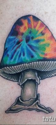 фото рисунка тату гриб 27.03.2019 №043 — tattoo mushroom — tatufoto.com