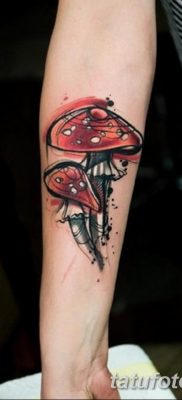 фото рисунка тату гриб 27.03.2019 №046 — tattoo mushroom — tatufoto.com
