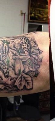 фото рисунка тату гриб 27.03.2019 №049 — tattoo mushroom — tatufoto.com
