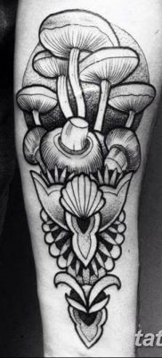 фото рисунка тату гриб 27.03.2019 №052 — tattoo mushroom — tatufoto.com